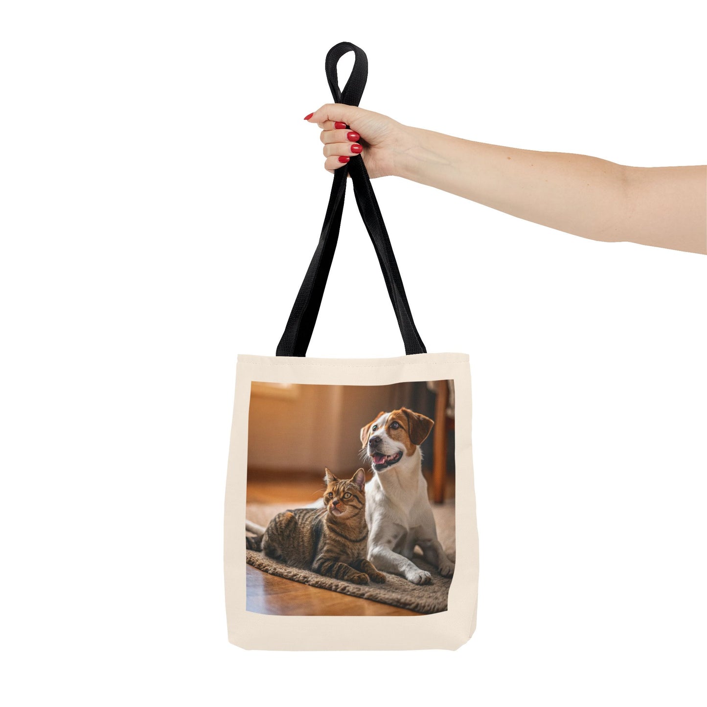 Design IA: chat et chien