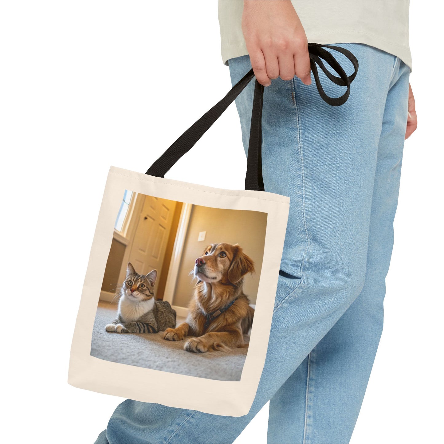 Design IA: chat et chien