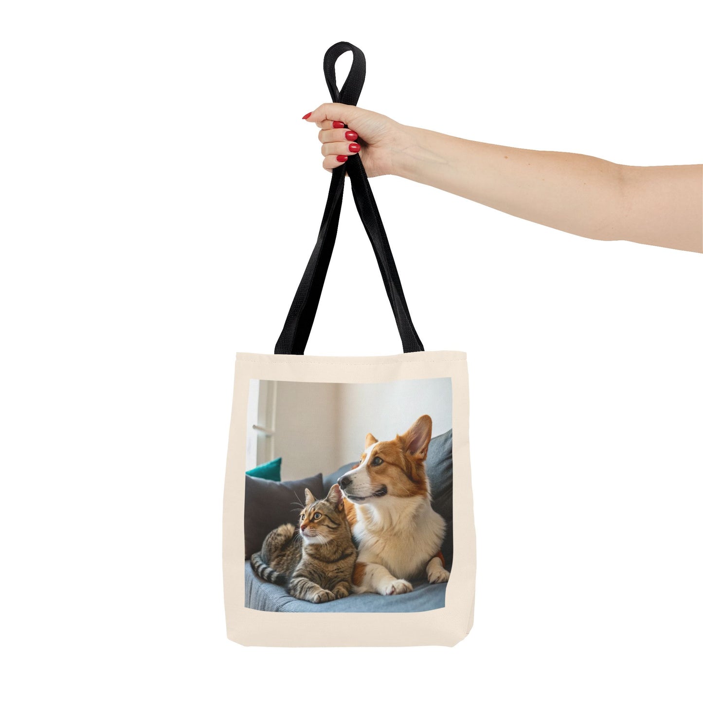 Design IA: chat et chien