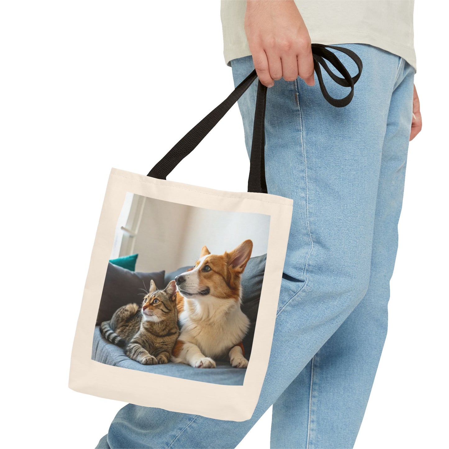 Design IA: chat et chien