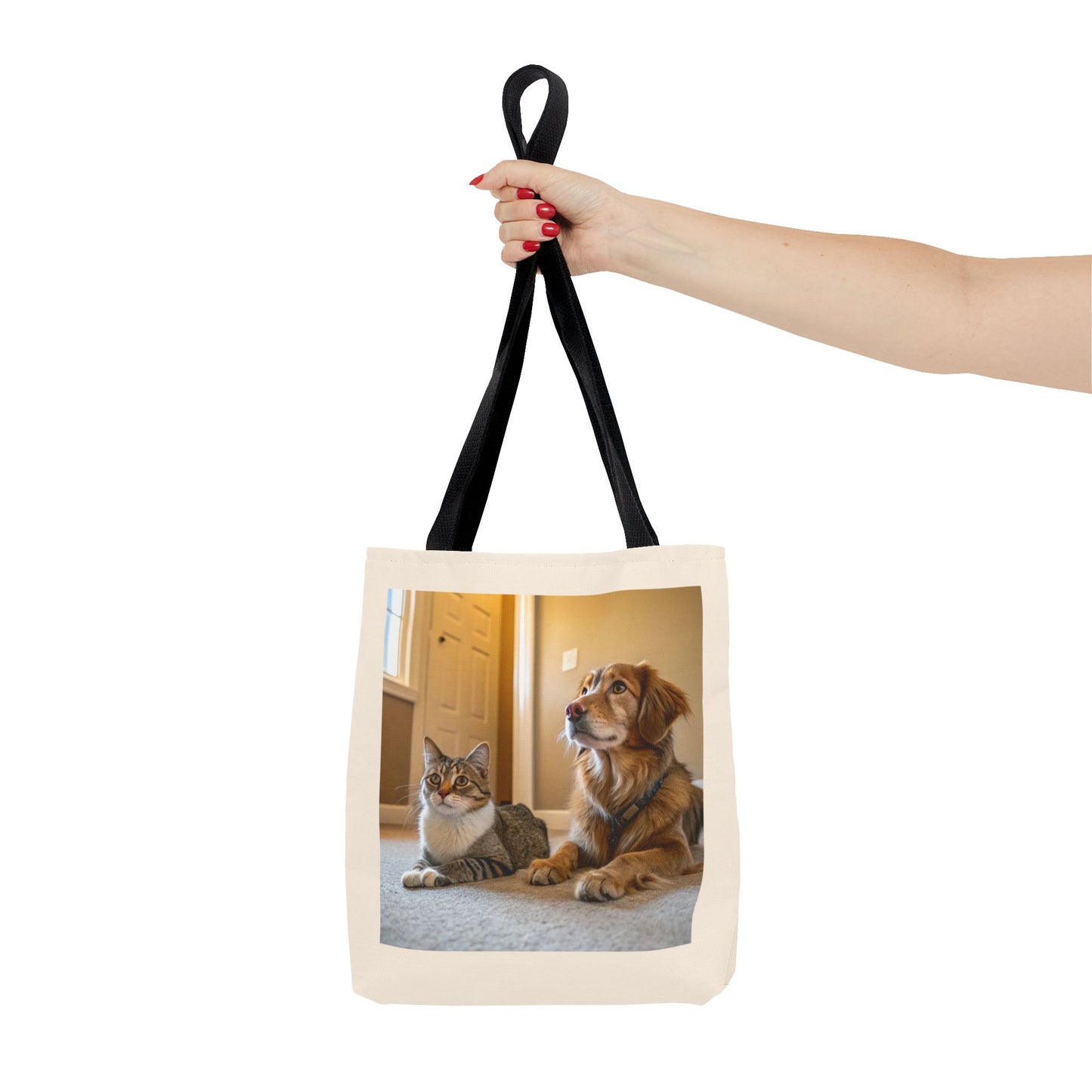 Design IA: chat et chien
