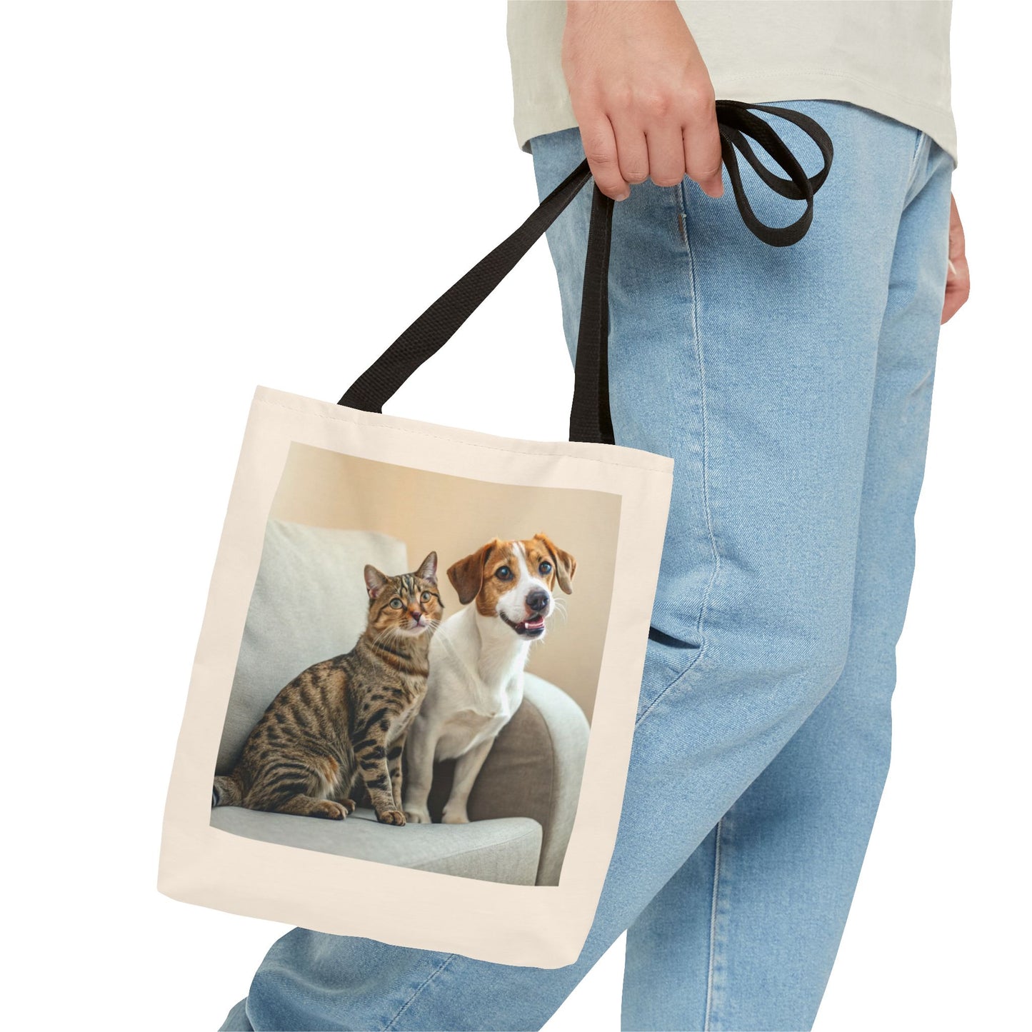 Design IA: chat et chien