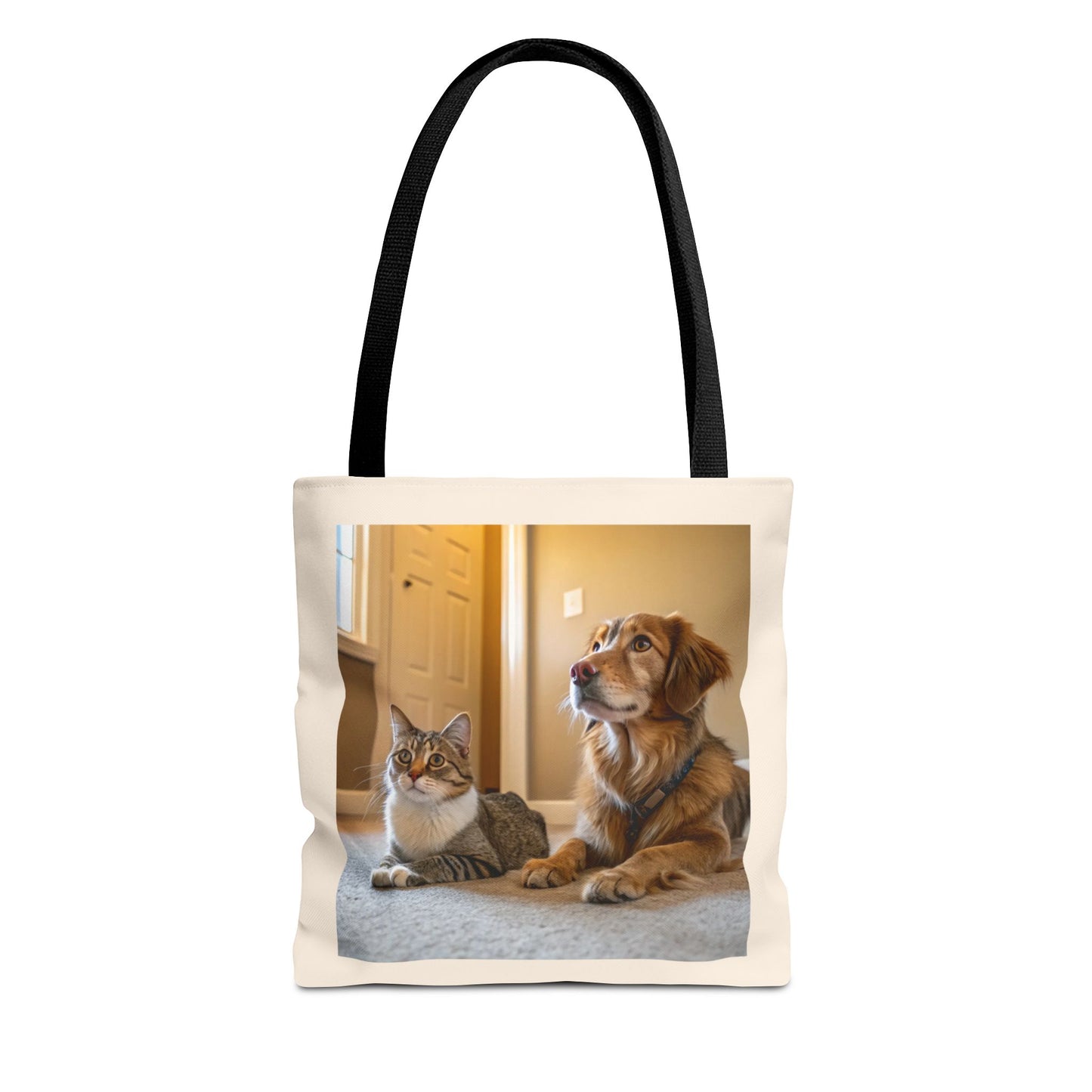 Design IA: chat et chien