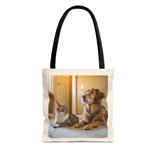 Design IA: chat et chien