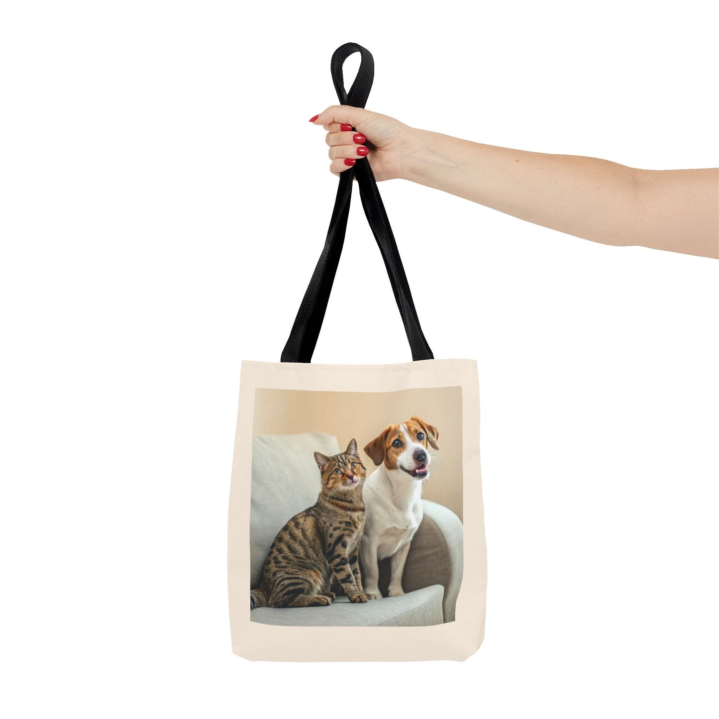 Design IA: chat et chien