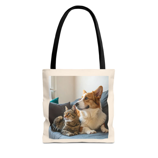 Design IA: chat et chien