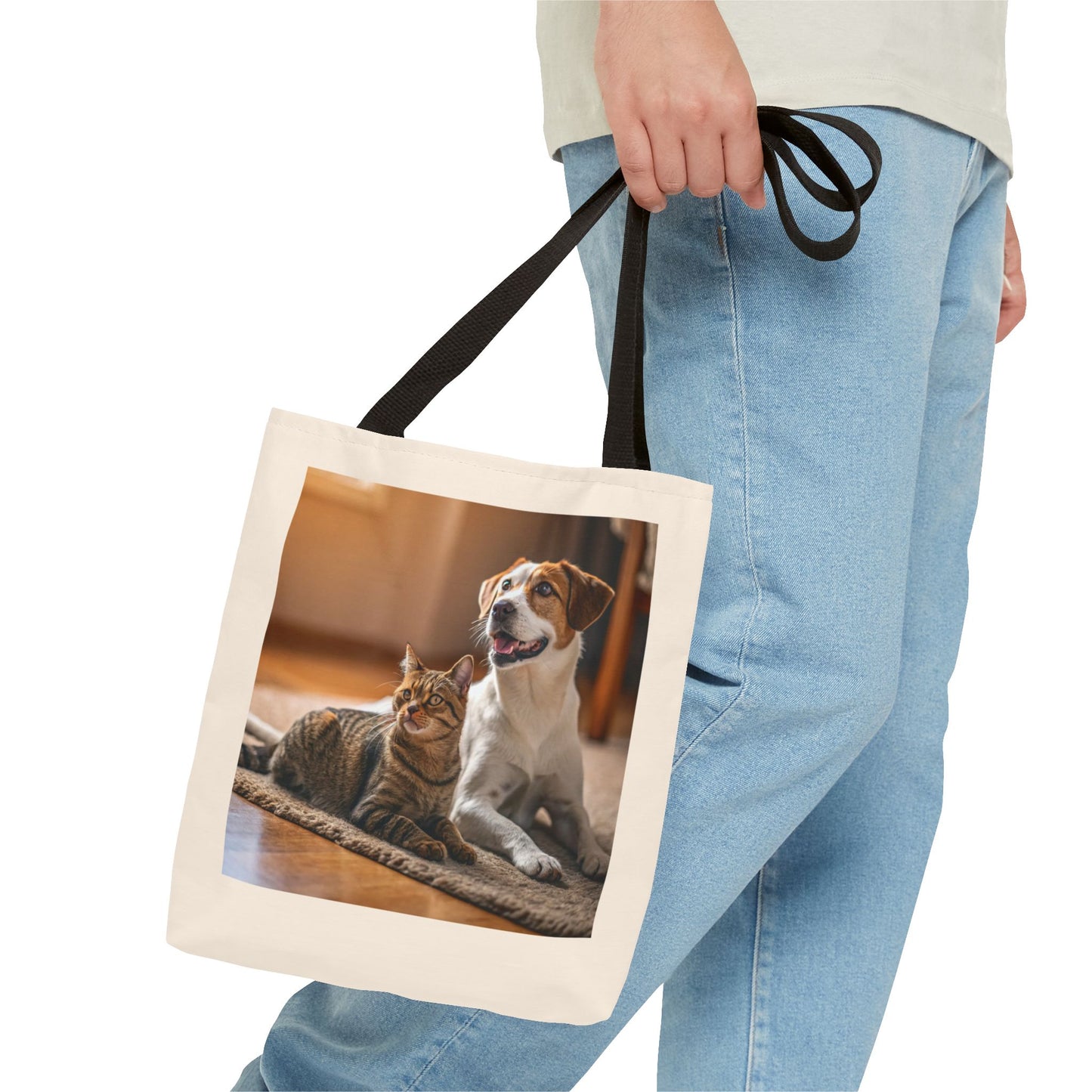 Design IA: chat et chien