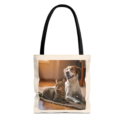 Design IA: chat et chien